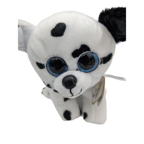 Ty Beanie Boo  Catcher the Dalmatian 5.5" Beanbag Plush Big Blue Eyes 2021 W/Tag - Picture 1 of 8
